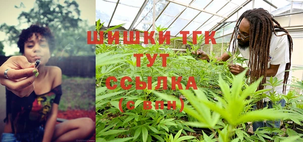 дживик Арсеньев