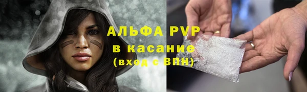 СК Дмитриев
