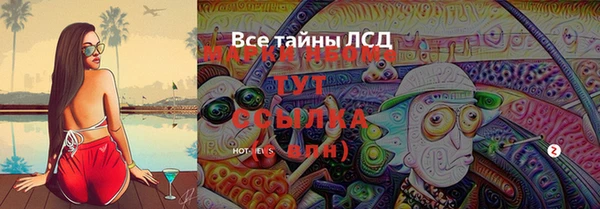 дживик Арсеньев