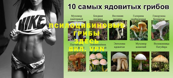 дживик Арсеньев